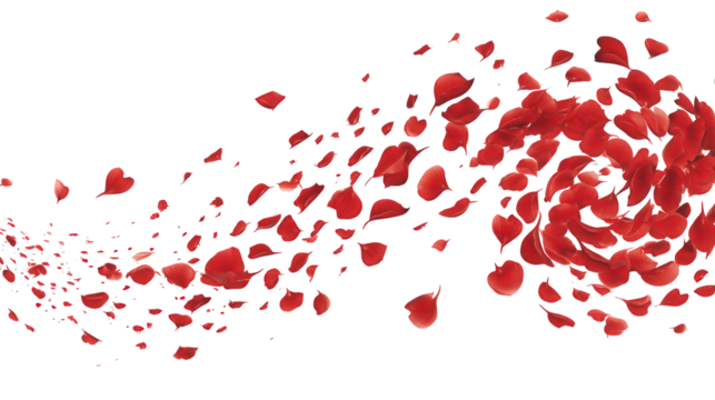 Love valentine background with red petals of hearts on transparent background. Vector banner, postcard, background.The 14th of February. PNG image - Powered by Adobe
