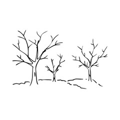 Fototapeta premium Minimal bare trees sketch showcasing leafless deciduous trees with delicate branches on white background. Simple bare trees sketch drawing highlights organic forms, elegant black lines.