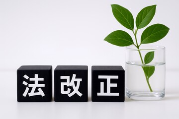 法改正を示す黒いブロックと植物の成長で表現した制度変更と社会の前進イメージ
