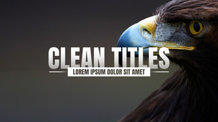 Clean Animated Titles Template