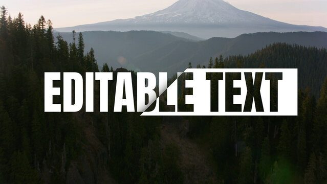 Text Animation