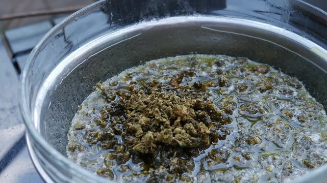 Boiling Cannabis in Butter Double Boiler: Marijuana Infusion Cooking Process Bubbles Steam Cannabutter Making Method