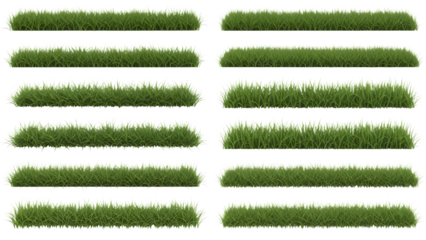 Collection of Vibrant Green Grass Border Strips for Design and Landscaping Backgrounds