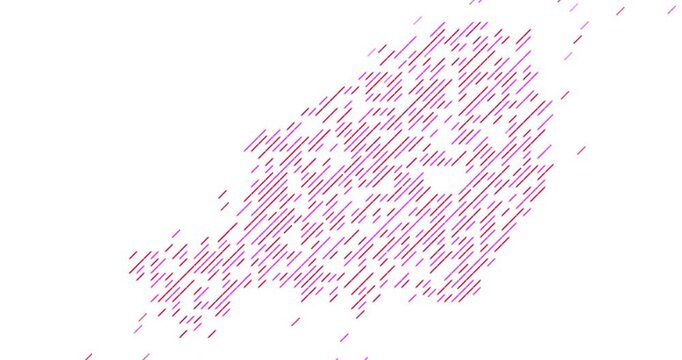 Professional Diagonal Motion Reveal Map of Niger