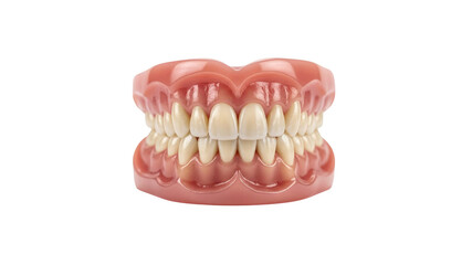 Obraz premium Set of dentures on Transparent Background