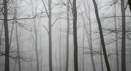 Obraz premium Ethereal Forest - A Monochrome Study of Trees in Dense Fog.