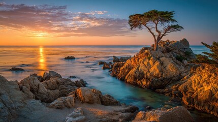 A sunset occurs over the ocean with orange and blue hues in the sky. A lone tree sits atop a rocky area, surrounded by calm waters and distant waves