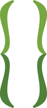Green curly brackets symbol representing a code block in programming languages, isolated on white background