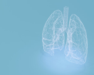 Wireframe Human Lungs on Soft Blue Background &mdash; A Digital Representation of Respiratory Anatomy in Minimalist, Modern Medical Illustration Style