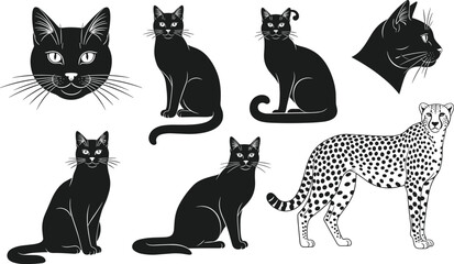 Set of black cat silhouettes, head portraits and cheetah vector illustration, isolated on white background, feline animal collection for design © MstParvin