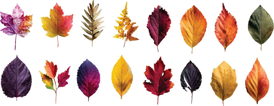 vector set of autumn leaves