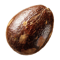avocado seed whole brown texture isolated on transparent background