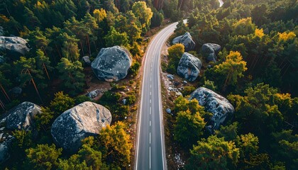 Aerial View of Winding Road Through Lush Green Forest with Large Boulders and Autumn Colors.