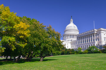 US Capitol Building in Washington, DC, in autumn foliage - The Capitol is among the most architecturally impressive and symbolically important buildings in the world.