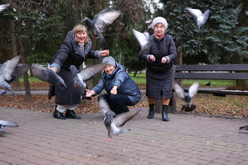 three adult retired women old woman feeds the pigeons in the park. The pigeons sit on the woman who feeds them. Romania, Arges. September, 21, 2023. High quality photo