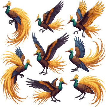 Paradisaea apoda Collection &ndash; 8 Styles Vector Illustration