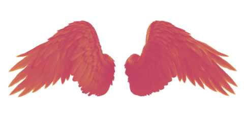 A wings with duo tone color isolated with transparent background 