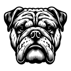 Graphic illustration of a strong bulldog head in black and white