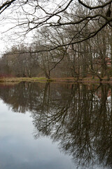 lake, water, river, landscape, trees, reflection, tree, nature, sky, blue, autumn, grass, spring, pond, forest, green, clouds, summer, winter, beautiful, park, fall, season, calm