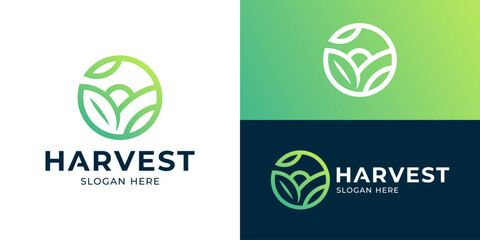 Simple modern harvest logo template. Organic farm logo design vector illustration. © Hi_std