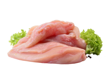 Fresh meat chicken isolated