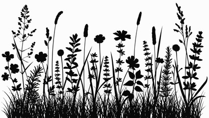Silhouette of Wildflowers and Grasses. © Adol