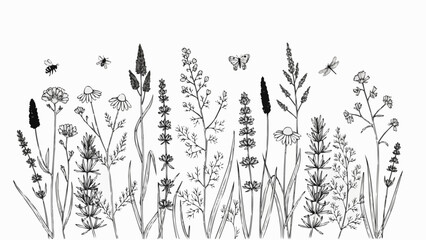 Black and White Wildflowers and Insects Illustration. © Ahmad