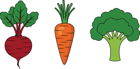 Colorful flat vector illustration set featuring garden fresh beet carrot and broccoli vegetables for healthy food icon design