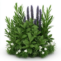 Lush Green Foliage Featuring Lavender Blooms and Delicate White Flowers Overhead Shot