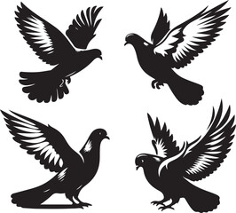 Pigeon icon silhouette vector with white background