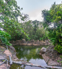 Scenic tropical pond surrounded by dense green jungle and rocky shores peaceful forest lagoon with clear water in exotic park natural landscape for relaxation and tourism travel background.