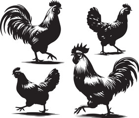 Hen Icon Silhouette Vector In White Background 