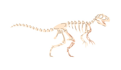 T Rex skeleton in paleontology museum. Ancient fossil of tyrannosaurus. Bones and skull of Trex dino. Remains of dinosaur, exhibit of exposition, display. Flat isolated vector illustration on white. © Paper Trident
