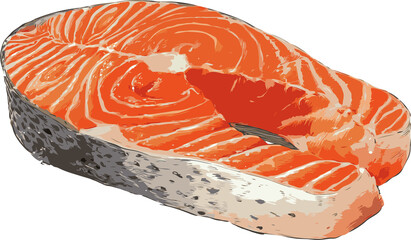 Raw salmon steak slice with skin on white background in realistic graphic style on transparent background