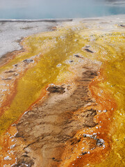 Colorful Geothermal Bacterial Mats at West Thumb
