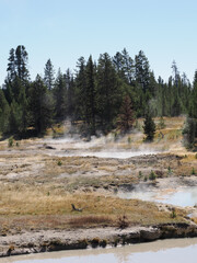 Geothermal Landscape with Boardwalk in West Thumb