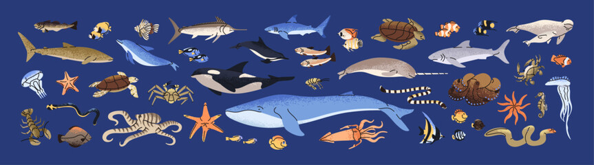 Wild animals of the ocean set. Sea life, underwater fauna, undersea wildlife. Different seabed creatures: fish, dolphin, shark, turtle, whale, narwhal, squid. Flat isolated vector illustrations. © Paper Trident