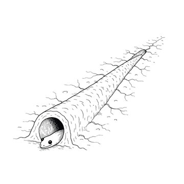 Monochrome snake illustration emerging from underground burrow pathway