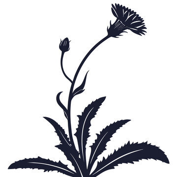 black silhouette of a flower