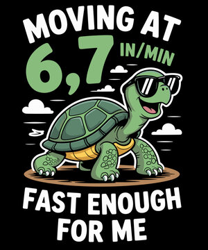 67 Funny Turtle Moving at 67 Fast Enough Six Seven Mem
