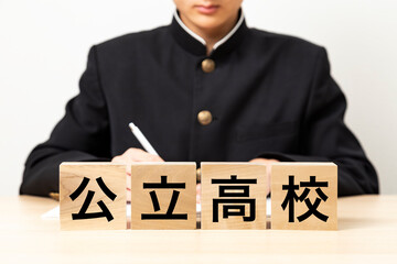 「公立高校」と書かれたブロックと男子学生