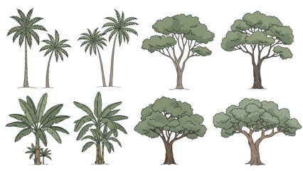Collection of various tropical trees and palm trees illustrated in a digital artwork