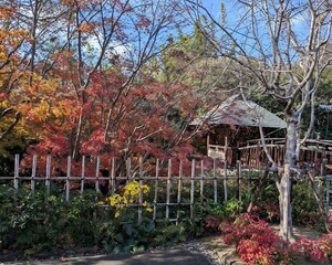 丈山苑、四阿の風景