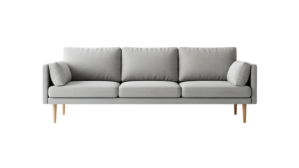 Light Gray Modern Sofa with Cushions in Minimalist Living Room