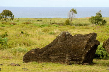Easter Island lush landscape with volcanic rocks by the ocean