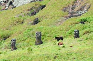 Moai statues amidst lush terrain of Rano Raraku, Easter Island