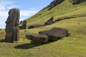 Moai statues on lush slopes of Rano Raraku, Easter Island quarry