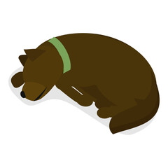 Obraz premium 3D Isometric Flat Illustration of Sleeping Pets. Item 4