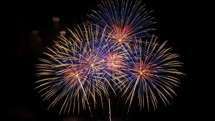 Obraz premium Fireworks display against dark night sky