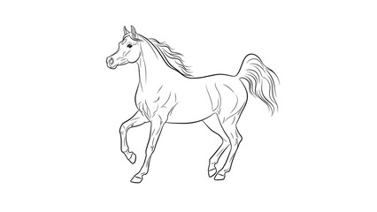 Majestic horse in motion with flowing mane and tail © Tana